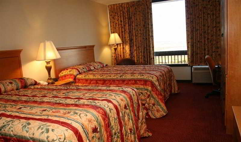 Hotel Wyndham Garden Atlanta Airport College Park Habitación foto